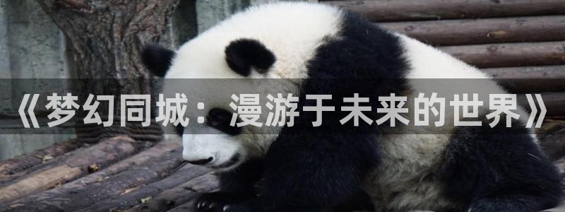 51漫画安卓下载5.4.5