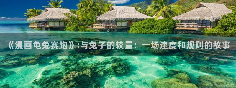 51漫画有风险版：《漫画龟兔赛跑》:与兔子的较量：一场速度和规则的故事